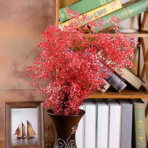 dried_flower - preserved_flower - fake_flower - 2500+Head Dried Babys Breath Flowers Bouquet 17.2inch Natural 3oz-Red - Molly Garden - Molly_Garden_Floral