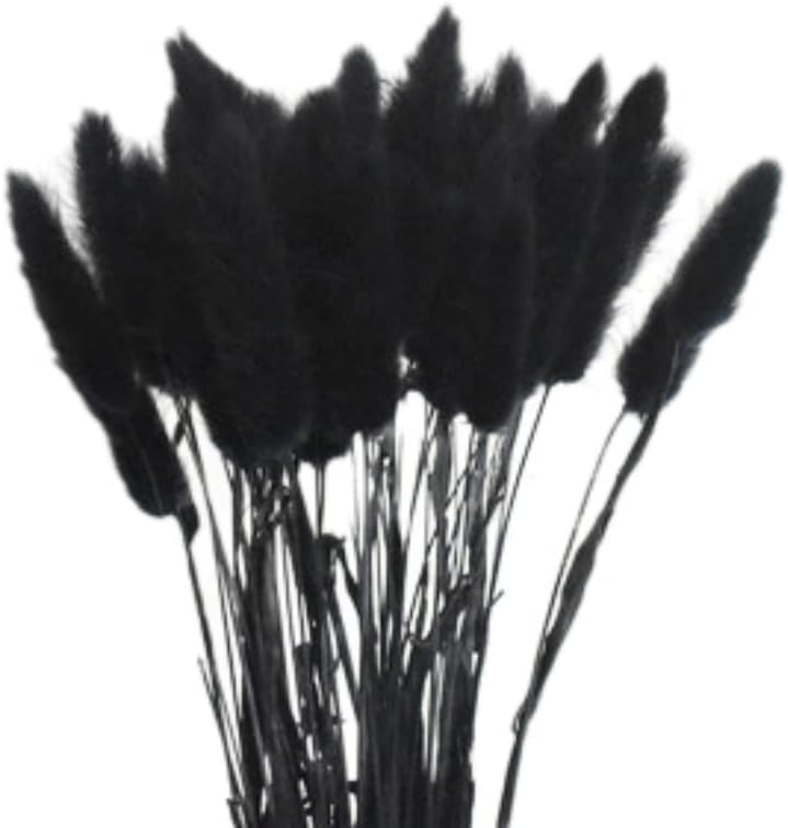 dried_flower - preserved_flower - fake_flower - 50Pcs Natural Dried Lagurus Ovatus Bouquet Rabbit Bunny Tail Pampas Grass - Molly Garden - Molly_Garden_Floral