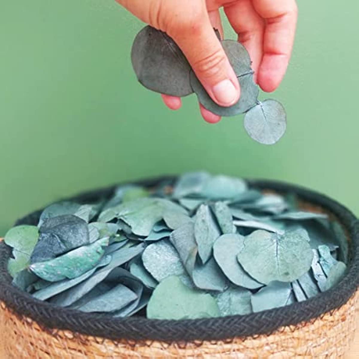 dried_flower - preserved_flower - fake_flower - 1600+ Small Preserved 100% Natural Real Bulk Biodegradable Eucalyptus Leaves - Molly Garden - Molly_Garden_Floral
