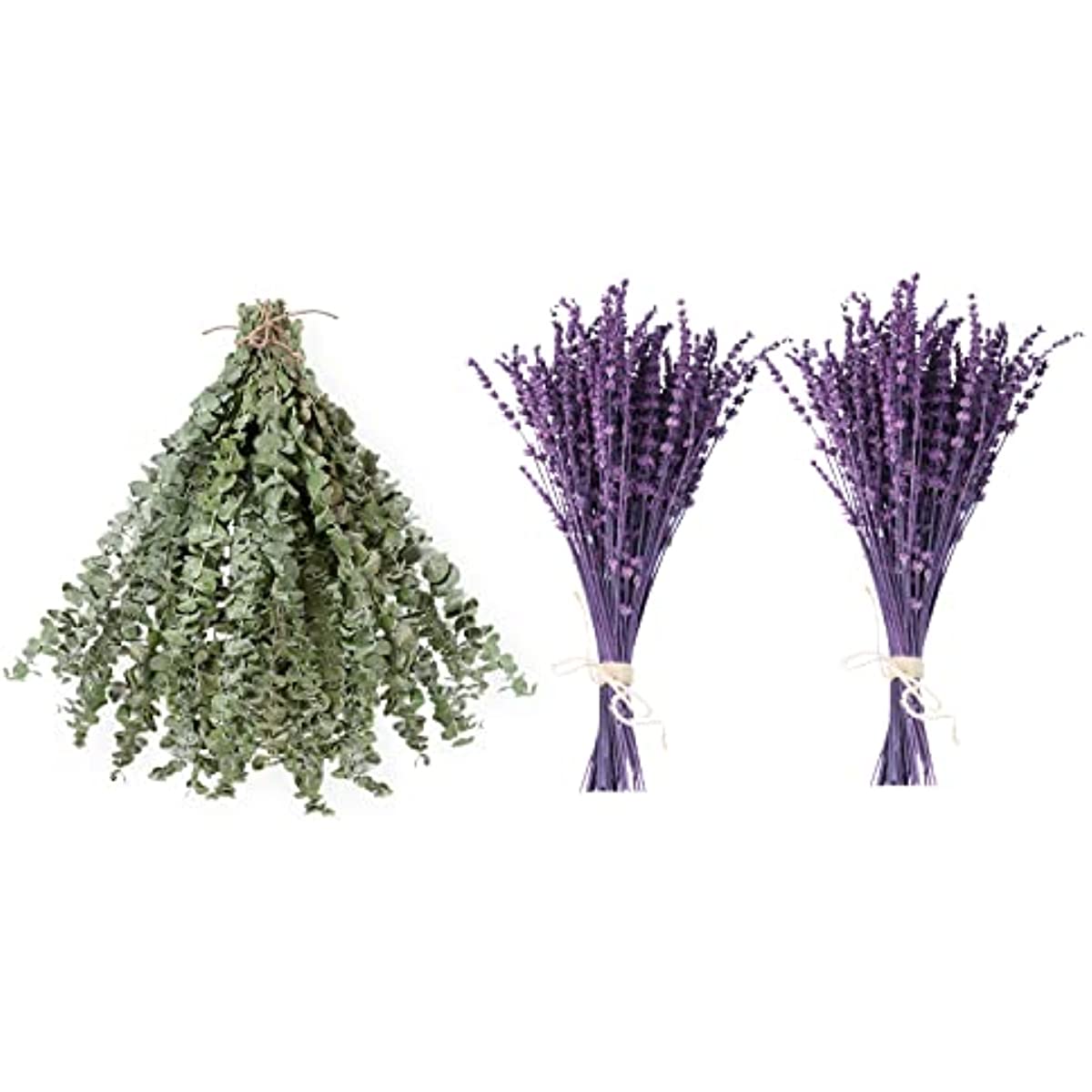 dried_flower - preserved_flower - fake_flower - 30Pcs Dried Eucalyptus Stems & 180+Pcs Lavender Flowers Bundle for Shower - Molly Garden - Molly_Garden_Floral