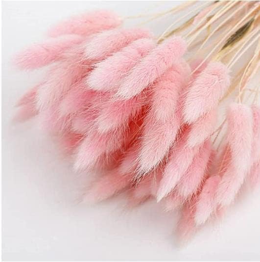 dried_flower - preserved_flower - fake_flower - 120Pcs Bunny Tails Dried Flowers Boho Home Decor Floral Arrangement Pampas - Molly Garden - Molly_Garden_Floral