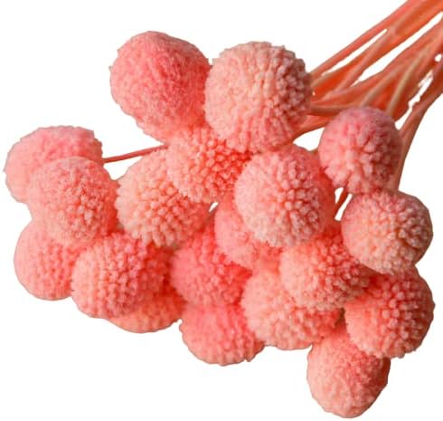 dried_flower - preserved_flower - fake_flower - 20Pcs Natural Dried Flowers Billy Balls 16" Bouquet Floral Arrangements Bouquet - Molly Garden - Molly_Garden_Floral