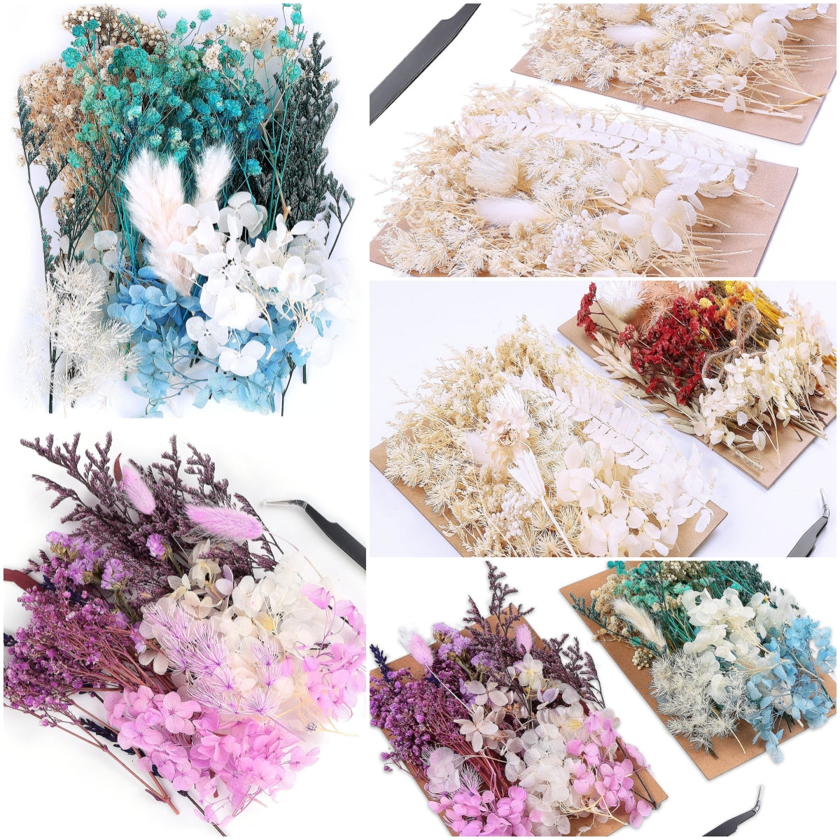 dried_flower - preserved_flower - fake_flower - Real Dried Leaf Flowers Plant Herbarium with Tweezers for Resin Molds Craft - Molly Garden - Molly_Garden_Floral