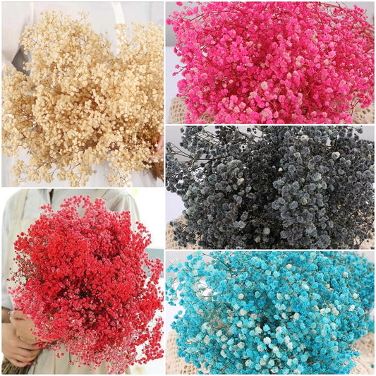 dried_flower - preserved_flower - fake_flower - 2500+Head Dried Babys Breath Flowers Bouquet 17'' Natural Gypsophila Branches - Molly Garden - Molly_Garden_Floral