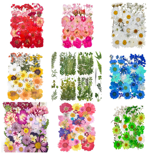 dried_flower - preserved_flower - fake_flower - 37Pcs 18Types Dried Pressed Flowers for Resin Molds YouthBro Real Natural - Molly Garden - Molly_Garden_Floral