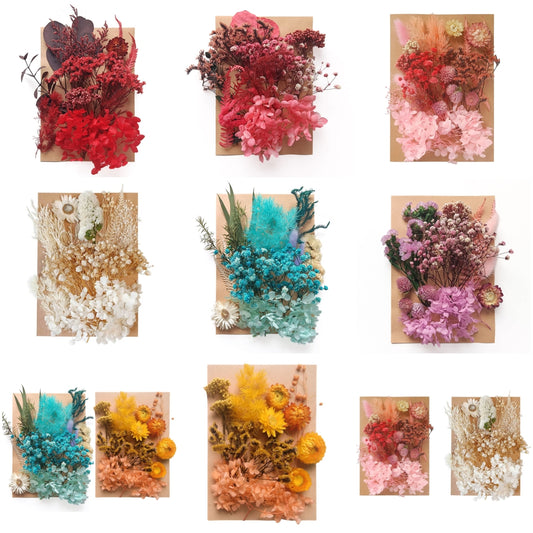dried_flower - preserved_flower - fake_flower - Natural Pressed Flowers Multiple Colorful Real Dried Floral Decorative for Crafts - Molly Garden - Molly_Garden_Floral
