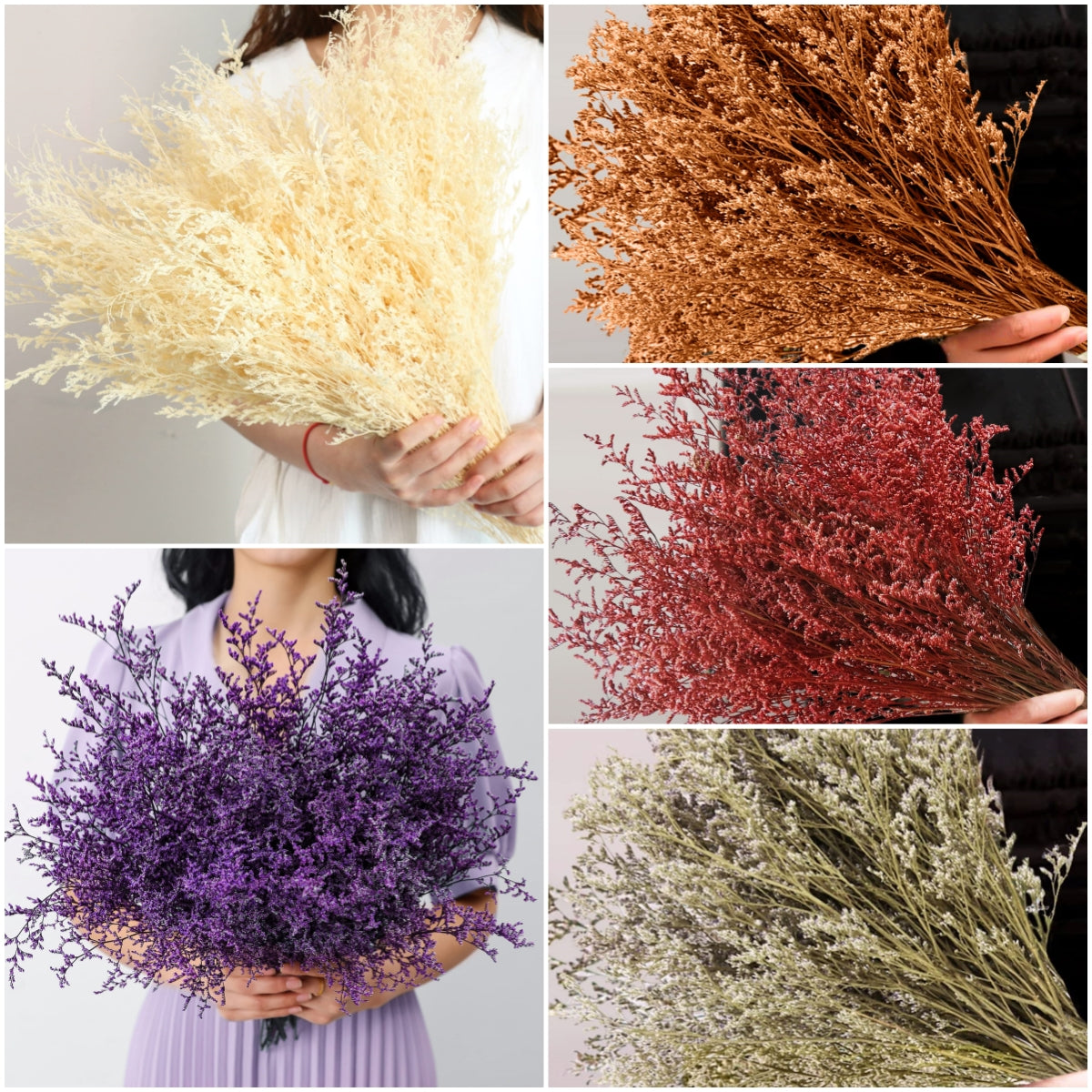 dried_flower - preserved_flower - fake_flower - 25+Stems Real Fresh Caspia Bellidifolium Preserved Natural Limonium Bouquet - Molly Garden - Molly_Garden_Floral