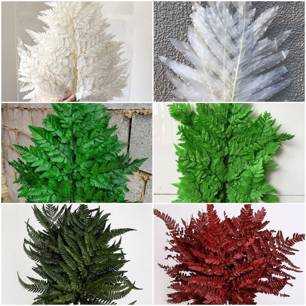 dried_flower - preserved_flower - fake_flower - 10Stems Preserved Real Green Ferns Dried Green Fern Tips Bouquets Flowers - Molly Garden - Molly_Garden_Floral