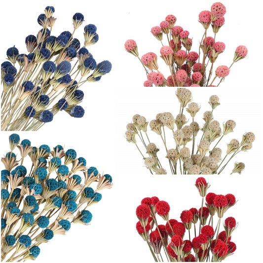 dried_flower - preserved_flower - fake_flower - 40Pcs Natural Dried Flowers Bouquet Bulk  Craspedia Billy Button Balls - Molly Garden - Molly_Garden_Floral