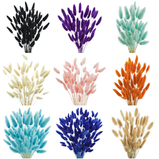dried_flower - preserved_flower - fake_flower - 50Pcs Dried Lagurus Ovatus 17’’ Natural Bunny Tails Flowers Dried Pampas Grass - Molly Garden - Molly_Garden_Floral