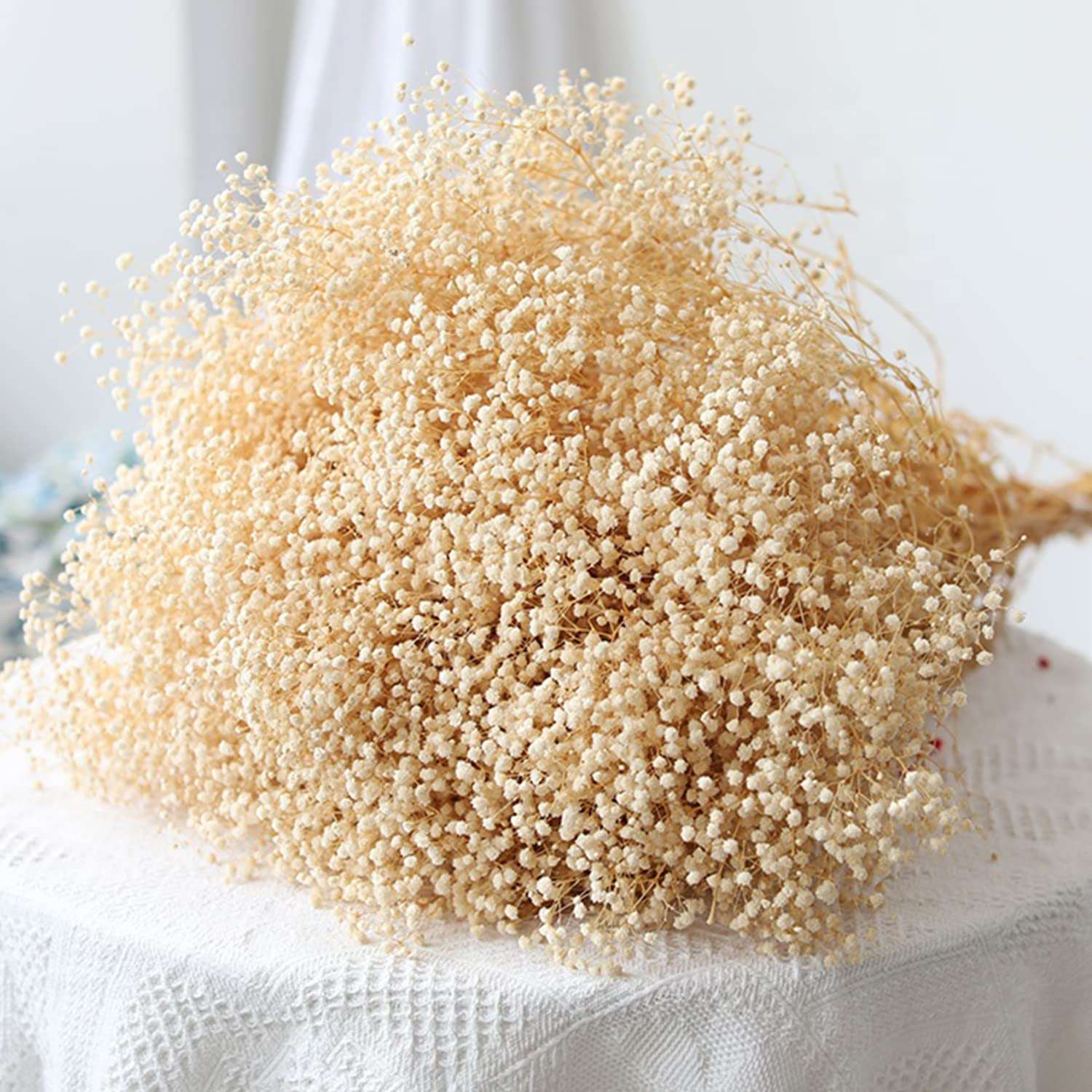 dried_flower - preserved_flower - fake_flower - 2500+Head Dried Babys Breath Flowers Bouquet 17.2inch Natural  5.7oz-Ivory White - Molly Garden - Molly_Garden_Floral