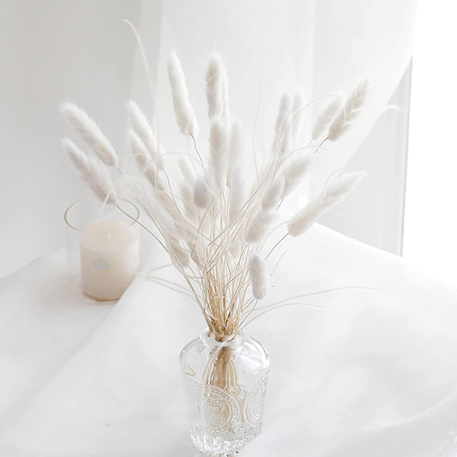 dried_flower - preserved_flower - fake_flower - 200Pcs Bunny Tails Dried Flowers White Natural Eternal Dried Rabbit Tails Grass - Molly Garden - Molly_Garden_Floral