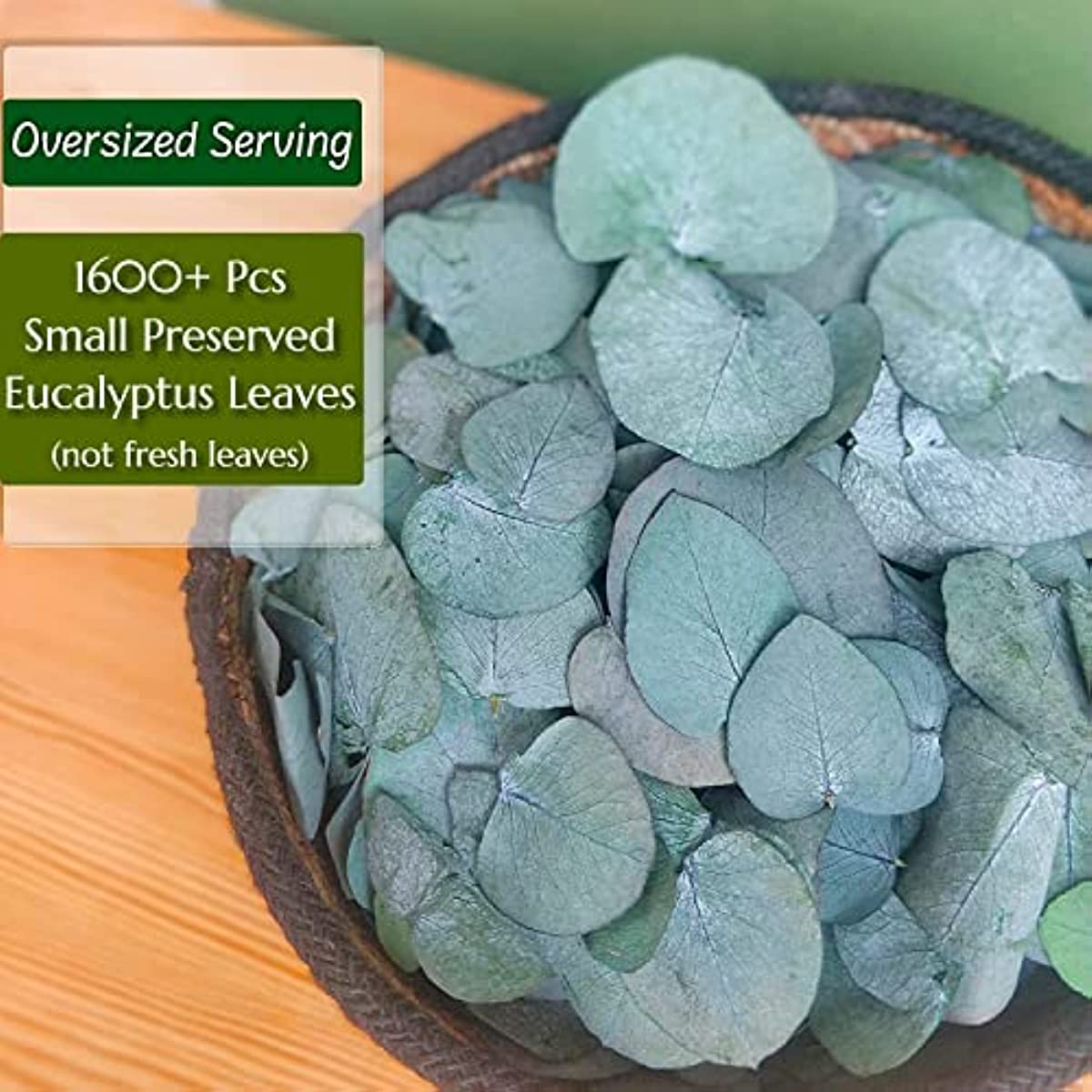 dried_flower - preserved_flower - fake_flower - 1600+ Small Preserved 100% Natural Real Bulk Biodegradable Eucalyptus Leaves - Molly Garden - Molly_Garden_Floral