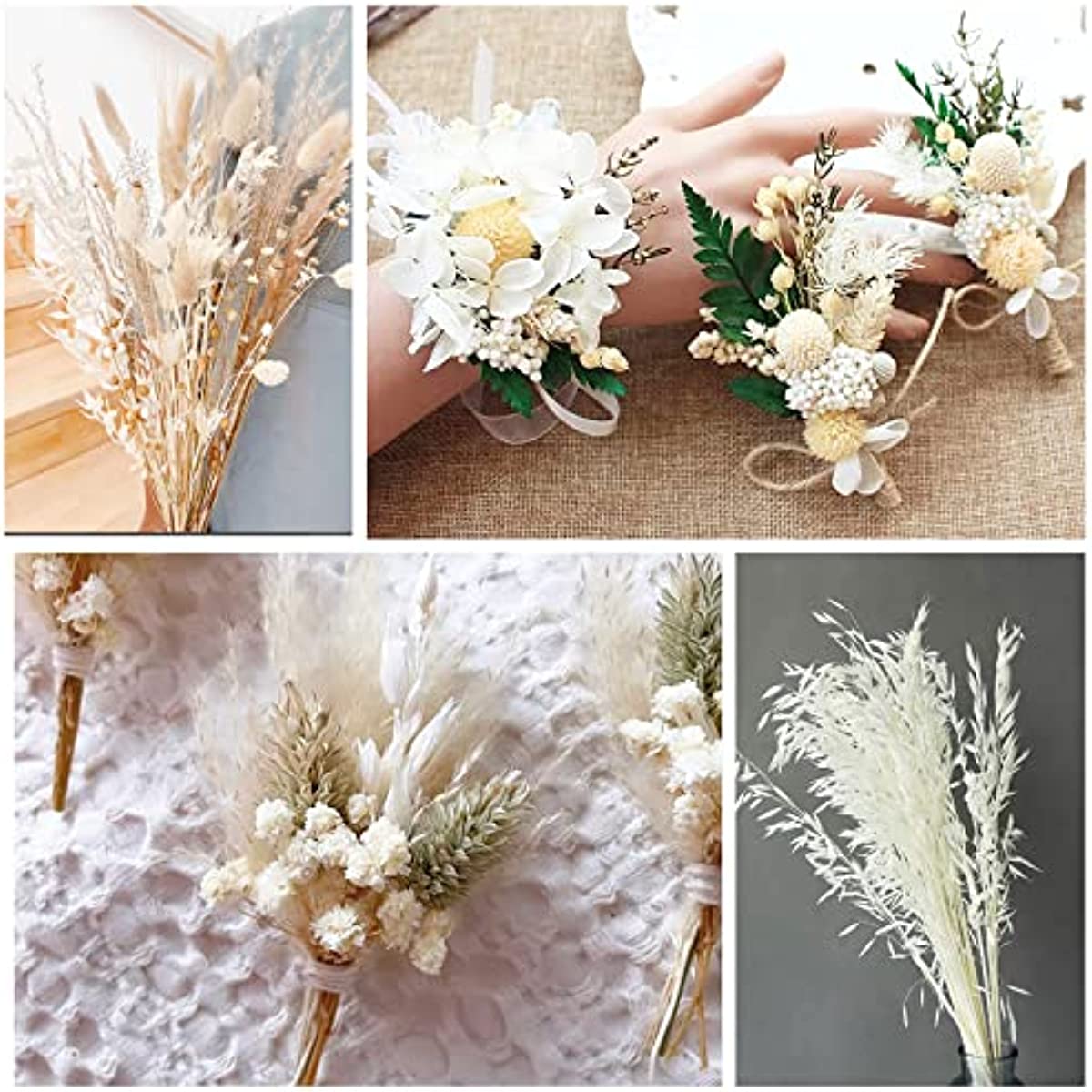 dried_flower - preserved_flower - fake_flower - 40Stems Dried White Oat Flowers 17'' Real  Natural Bleached Avena Wheat Bunch - Molly Garden - Molly_Garden_Floral