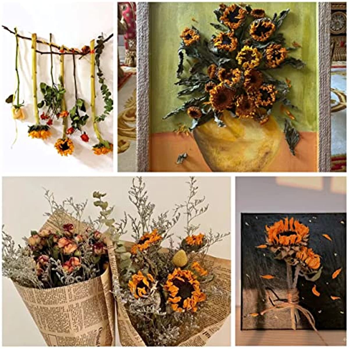 dried_flower - preserved_flower - fake_flower - 6Stems Dried Flowers in Bulk Sunflower Bouquet Real Flowers Yellow Decor - Molly Garden - Molly_Garden_Floral