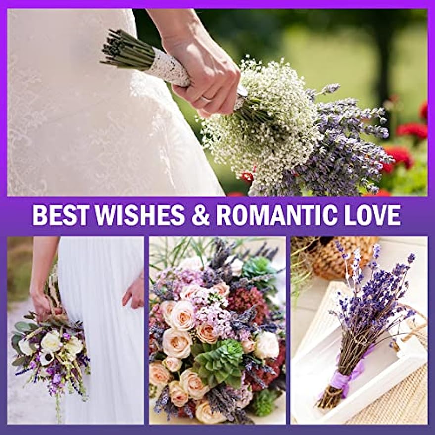 dried_flower - preserved_flower - fake_flower - 2Pack Bundles Dried Lavender Bundles Flowers 100% Natural for Home Decoration - Molly Garden - Molly_Garden_Floral