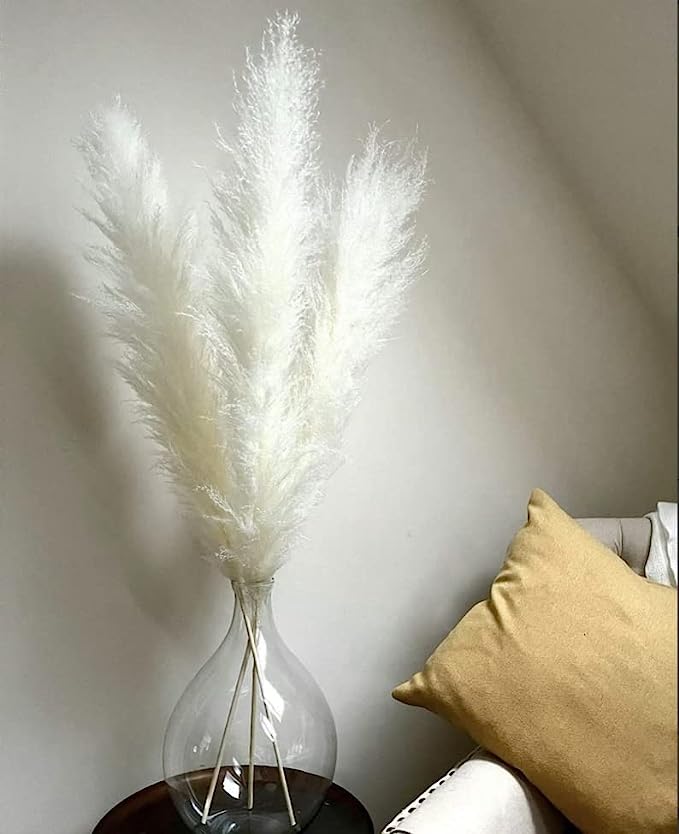 dried_flower - preserved_flower - fake_flower - Extra Large White Dried Pampas Grass 3 to 4ft Dry Flowers Boho Home Decor - Molly Garden - Molly_Garden_Floral
