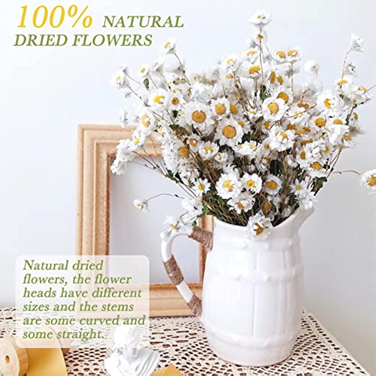dried_flower - preserved_flower - fake_flower - 250+Real Chrysanthemum Rhodanthe Daisies 17'' Gerber Dried Daisy White Flowers - Molly Garden - Molly_Garden_Floral