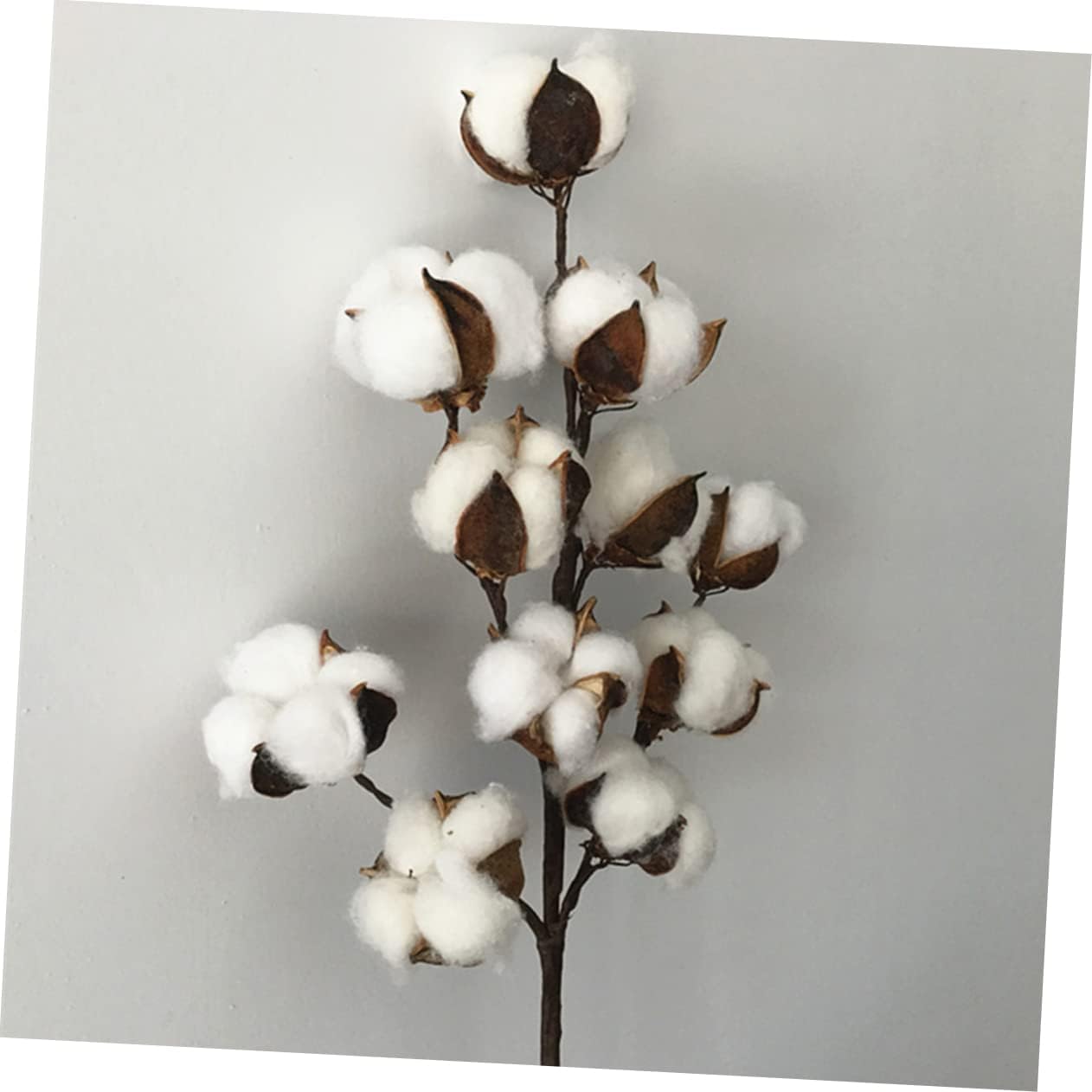 dried_flower - preserved_flower - fake_flower - 12Branches Plant Decorations Cotton Floral Pick White Decor Dried Flower Stems - Molly Garden - Molly_Garden_Floral