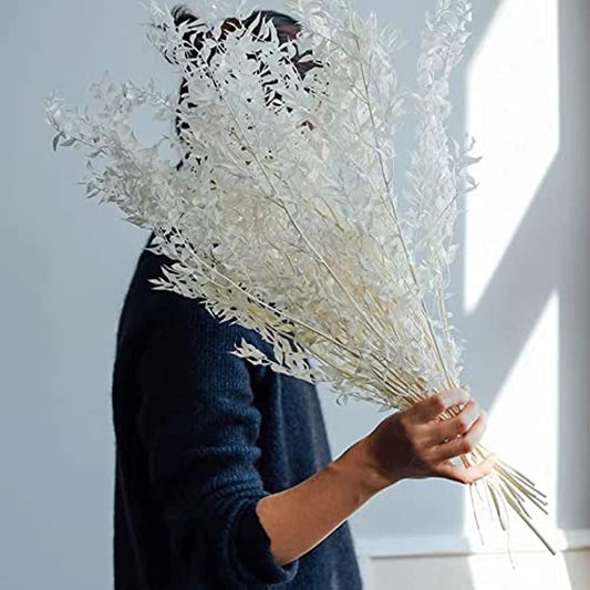 dried_flower - preserved_flower - fake_flower - 5Stems 16"Dried Real Eucalyptus White Italian Ruscus Natural Preserved Plant - Molly Garden - Molly_Garden_Floral