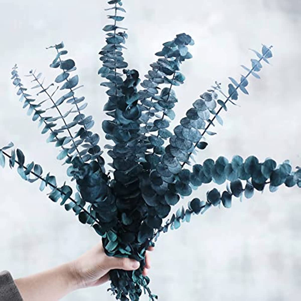 dried_flower - preserved_flower - fake_flower - 12Pcs Preserved Dried Blue Eucalyptus Stems Bundle 17" 100% Natural - Molly Garden - Molly_Garden_Floral