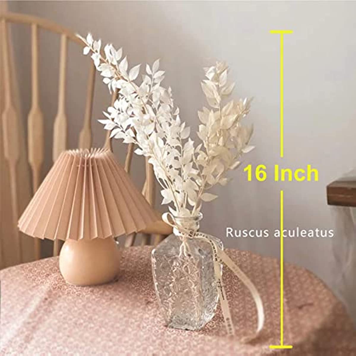dried_flower - preserved_flower - fake_flower - 5Stems 16"Dried Real Eucalyptus White Italian Ruscus Natural Preserved Plant - Molly Garden - Molly_Garden_Floral