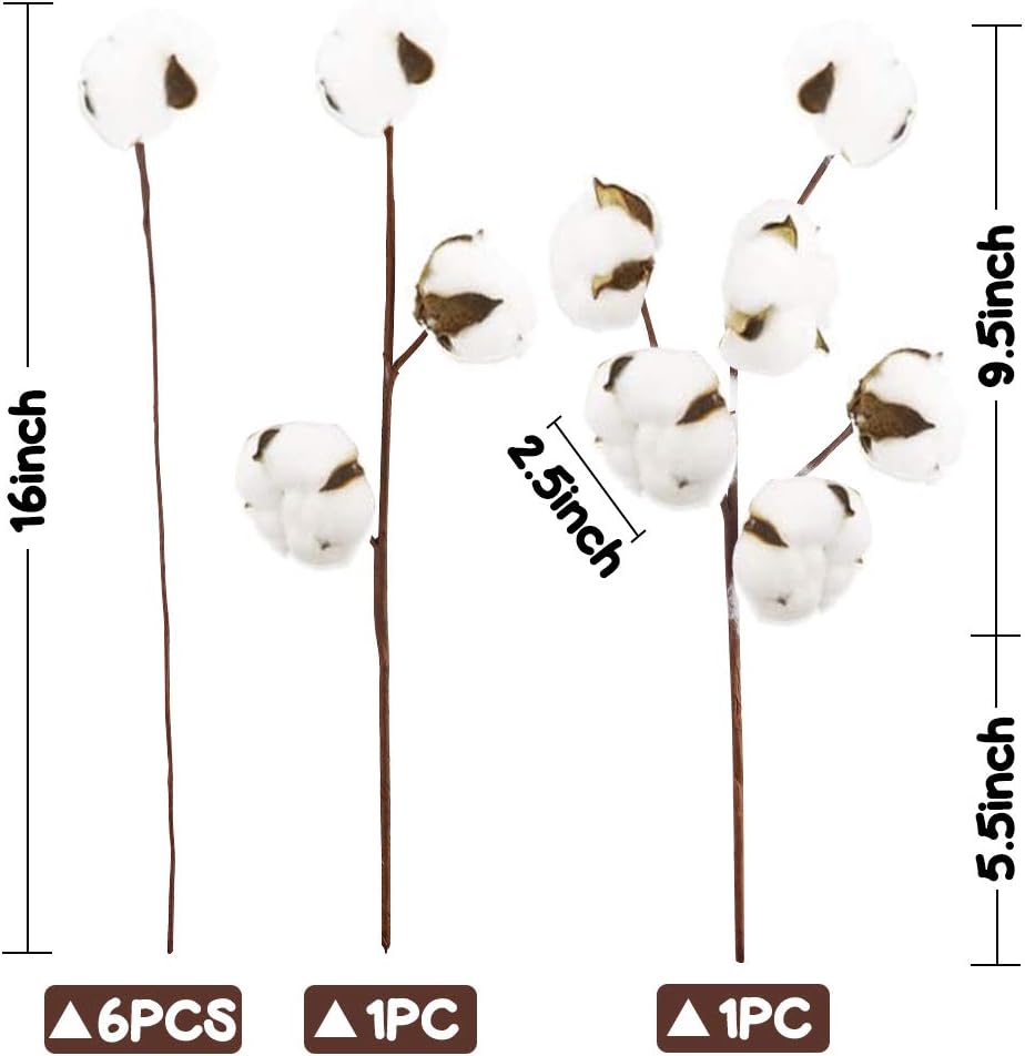 dried_flower - preserved_flower - fake_flower - Cotton Stems Natural Dried Plant 8Packs Total 15 Balls Spring Blooms Floral - Molly Garden - Molly_Garden_Floral