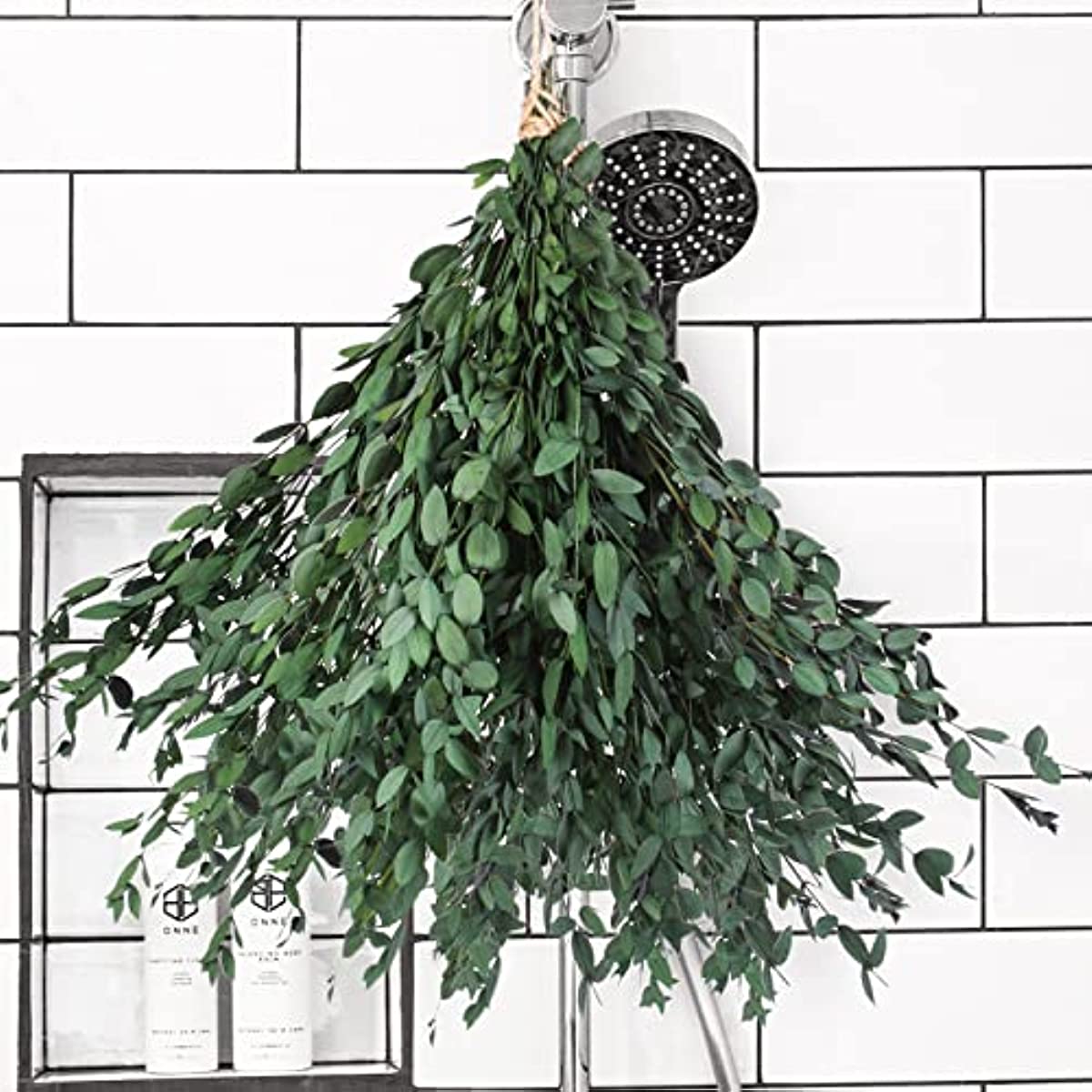 dried_flower - preserved_flower - fake_flower - 8-15Pcs Real Natural Preserved Eucalyptus Leaves Plant Bundle Shower Hanging - Molly Garden - Molly_Garden_Floral