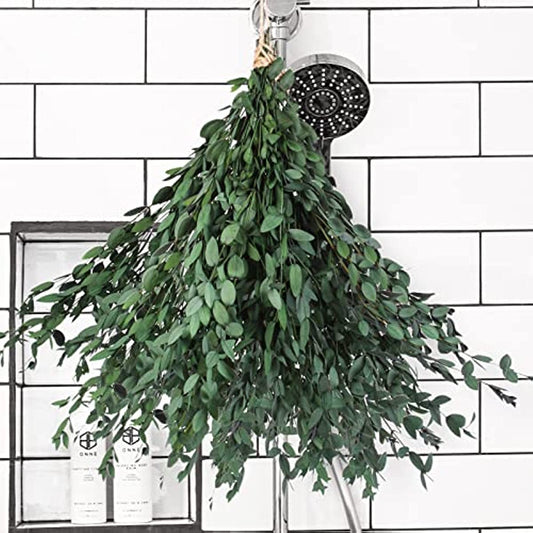 dried_flower - preserved_flower - fake_flower - 8-15Pcs Real Natural Preserved Eucalyptus Leaves Plant Bundle Shower Hanging - Molly Garden - Molly_Garden_Floral