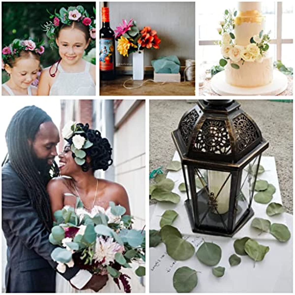 dried_flower - preserved_flower - fake_flower - 300+Pcs Dried 100% Natural Preserved Silver Dollar Green Eucalyptus Leaves - Molly Garden - Molly_Garden_Floral