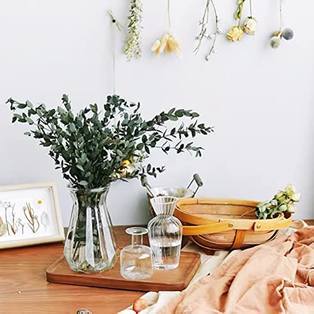 dried_flower - preserved_flower - fake_flower - 8-15Pcs Real Natural Preserved Eucalyptus Leaves Plant Bundle Shower Hanging - Molly Garden - Molly_Garden_Floral
