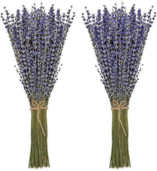 dried_flower - preserved_flower - fake_flower - 2Pack Bundles Dried Lavender Bundles Flowers 100% Natural for Home Decoration - Molly Garden - Molly_Garden_Floral