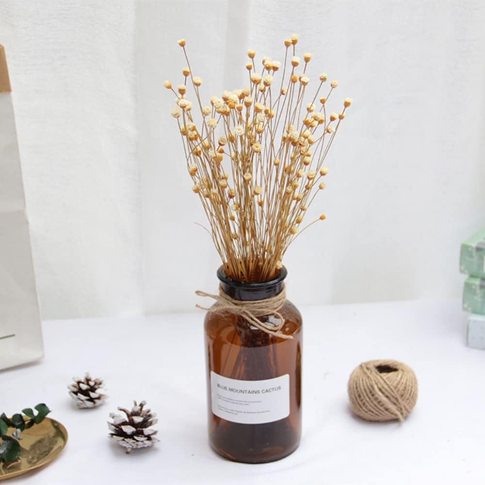 dried_flower - preserved_flower - fake_flower - 250Stems Natural Dry Flowers Brazilian Small Star Daisy Decorative Dried Floral - Molly Garden - Molly_Garden_Floral