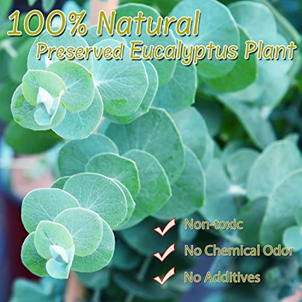 dried_flower - preserved_flower - fake_flower - 1600+ Small Preserved 100% Natural Real Bulk Biodegradable Eucalyptus Leaves - Molly Garden - Molly_Garden_Floral
