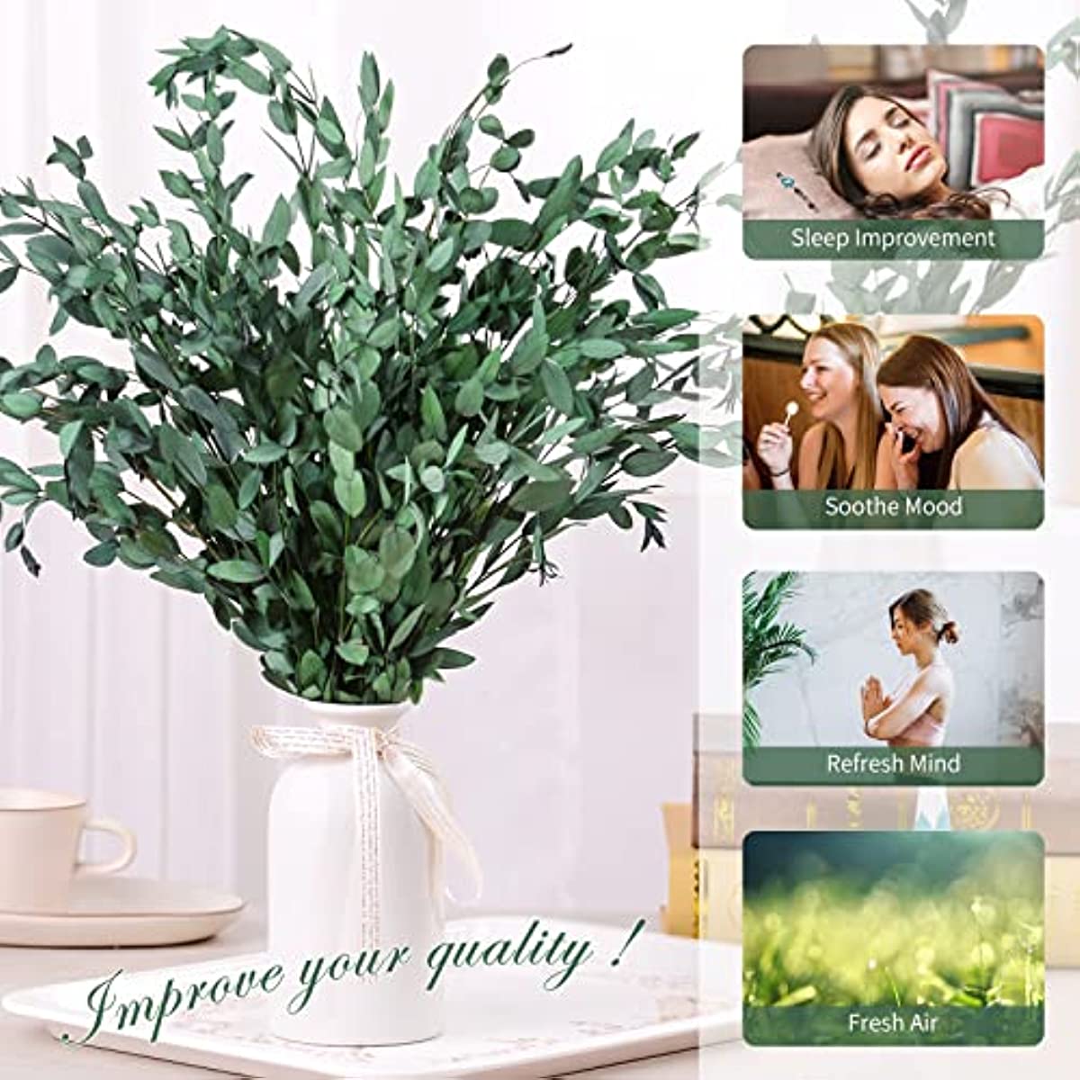 dried_flower - preserved_flower - fake_flower - 8-15Pcs Real Natural Preserved Eucalyptus Leaves Plant Bundle Shower Hanging - Molly Garden - Molly_Garden_Floral