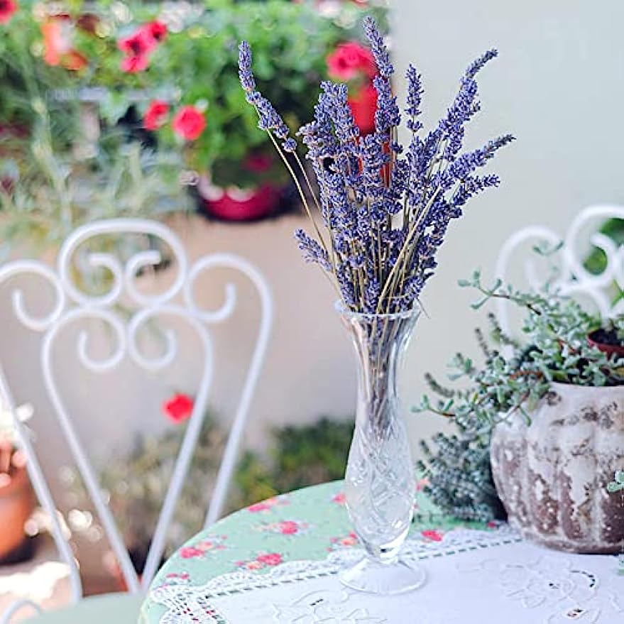 dried_flower - preserved_flower - fake_flower - 2Pack Bundles Dried Lavender Bundles Flowers 100% Natural for Home Decoration - Molly Garden - Molly_Garden_Floral
