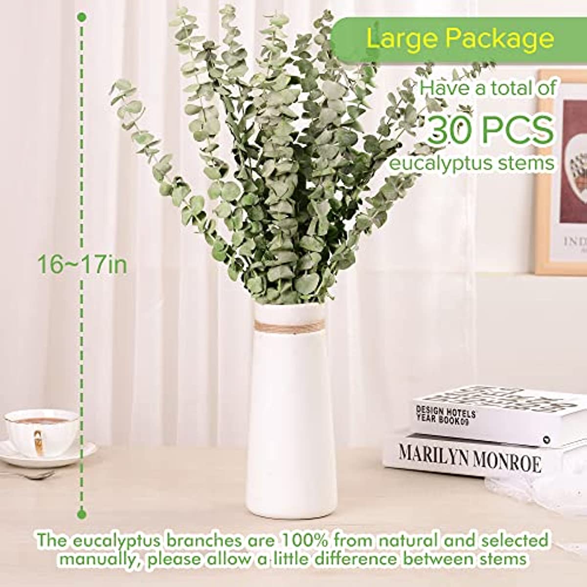 dried_flower - preserved_flower - fake_flower - 30Pcs Dried Eucalyptus Stems 17" Real Live Branches Plant Leaves Decor - Molly Garden - Molly_Garden_Floral