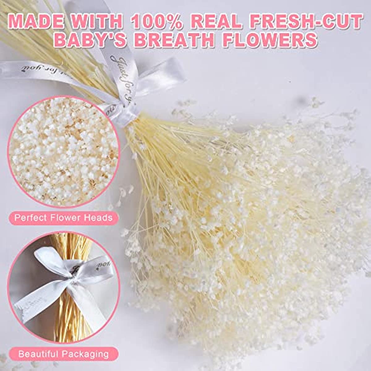 dried_flower - preserved_flower - fake_flower - 3000+Head Dried Flowers Babys Breath Bouquet Pure White 17'' Real Gypsophila - Molly Garden - Molly_Garden_Floral