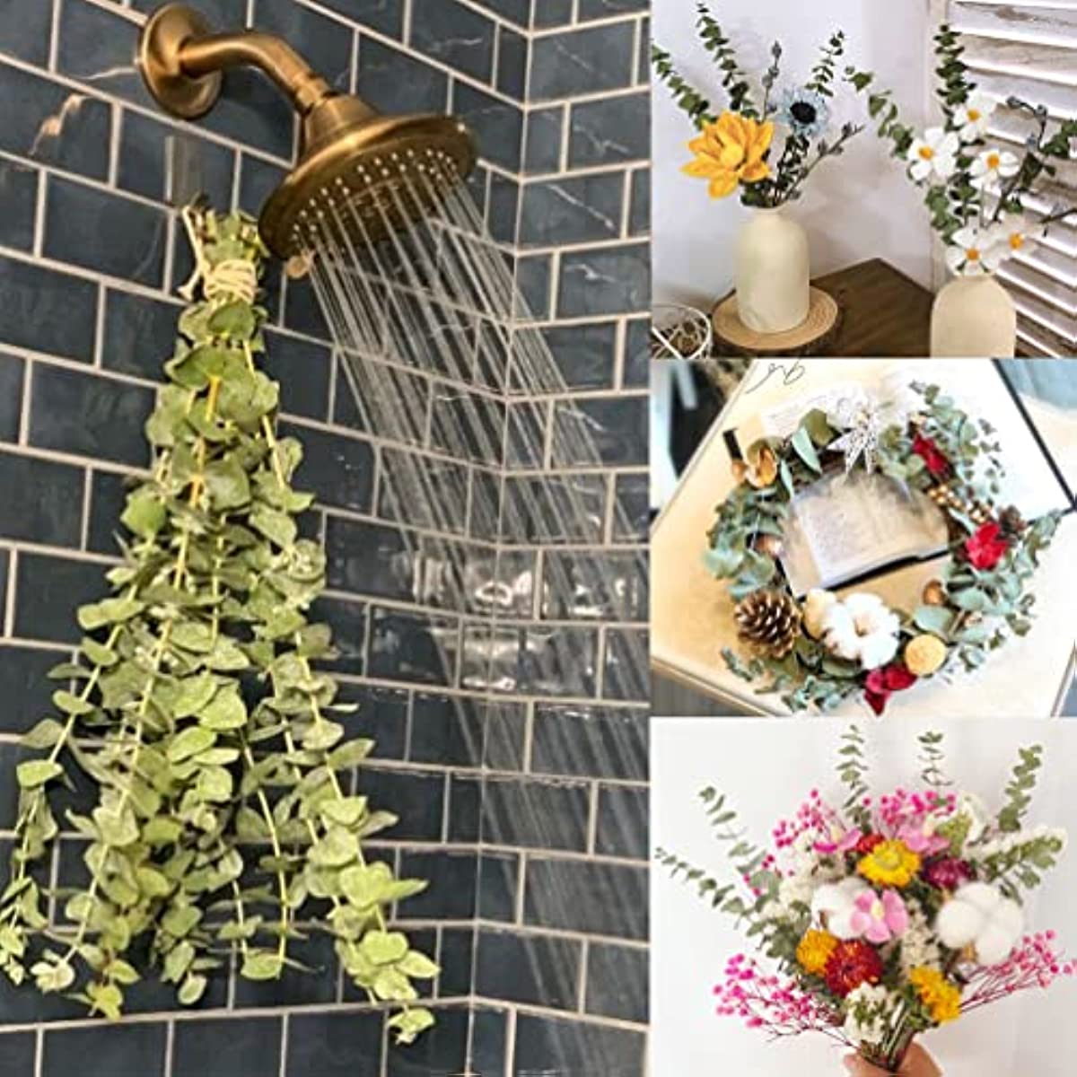 dried_flower - preserved_flower - fake_flower - 16Pcs Dried 100% Natural Real Fresh Eucalyptus Plant Stems for Shower - Molly Garden - Molly_Garden_Floral