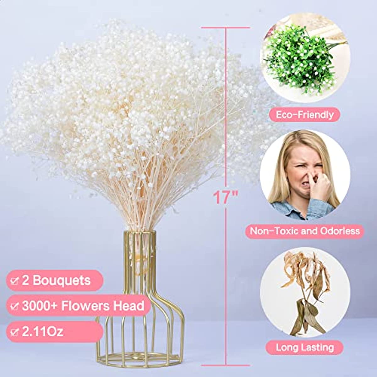 dried_flower - preserved_flower - fake_flower - 3000+Head Dried Flowers Babys Breath Bouquet Pure White 17'' Real Gypsophila - Molly Garden - Molly_Garden_Floral