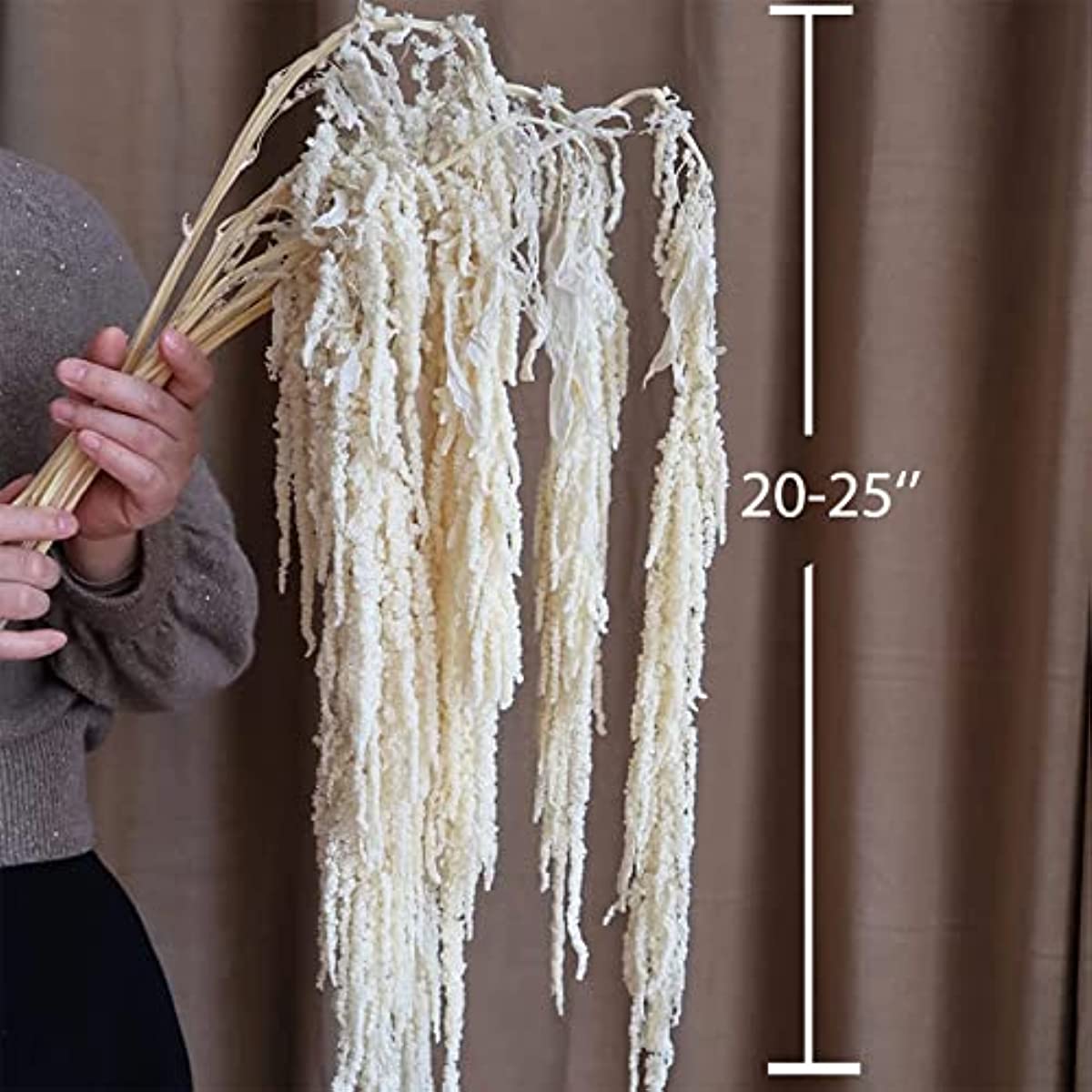 dried_flower - preserved_flower - fake_flower - 5Pcs Bleached Wisteria Vine Hanging Flowers Dried Preserved Bleached Amaranthus - Molly Garden - Molly_Garden_Floral