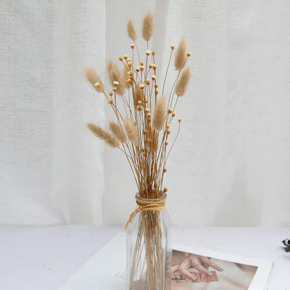 dried_flower - preserved_flower - fake_flower - 250Stems Natural Dry Flowers Brazilian Small Star Daisy Decorative Dried Floral - Molly Garden - Molly_Garden_Floral