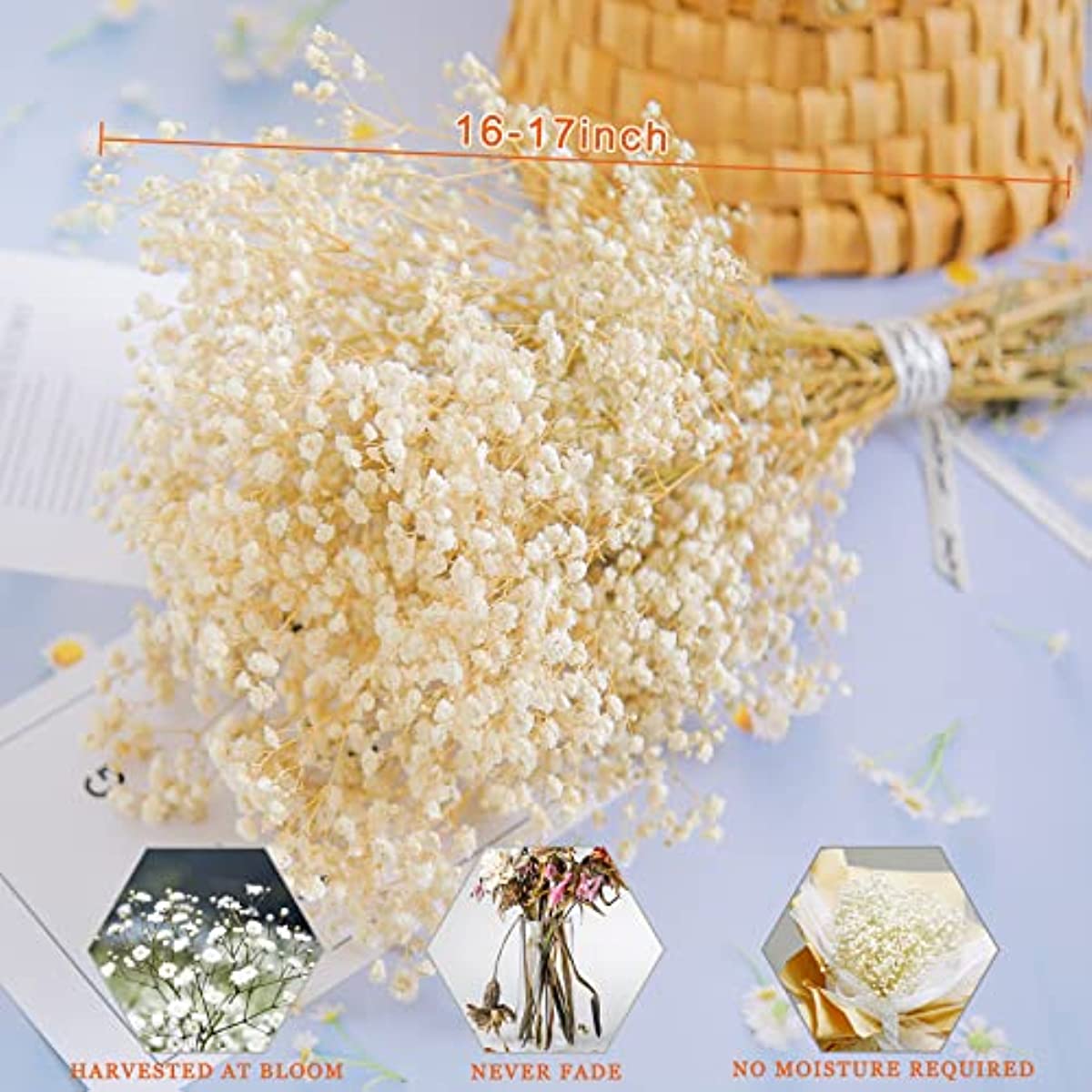 dried_flower - preserved_flower - fake_flower - 2500+Head Dried Babys Breath Flowers Bouquet 17.2inch Natural Gypsophila - Molly Garden - Molly_Garden_Floral