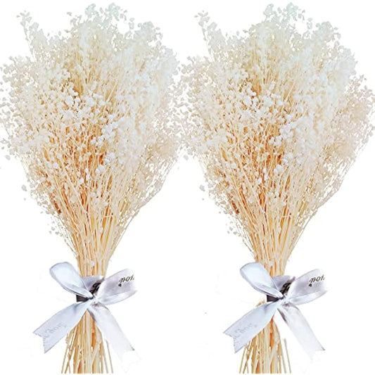 dried_flower - preserved_flower - fake_flower - 3000+Head Dried Flowers Babys Breath Bouquet Pure White 17'' Real Gypsophila - Molly Garden - Molly_Garden_Floral