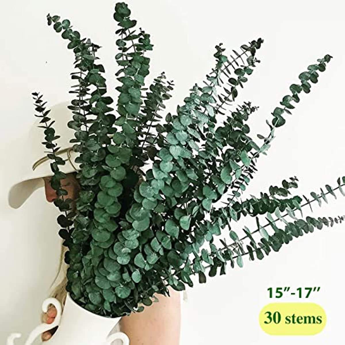 dried_flower - preserved_flower - fake_flower - 30Pcs Large Package Dried Preserved Eucalyptus Stems Bundle 17" 100% Natural - Molly Garden - Molly_Garden_Floral