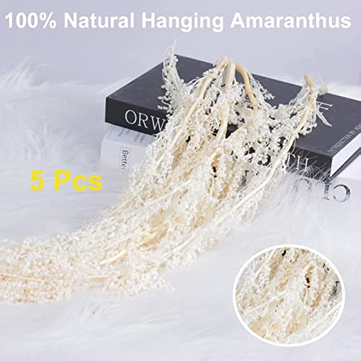 dried_flower - preserved_flower - fake_flower - 5Pcs Bleached Wisteria Vine Hanging Flowers Dried Preserved Bleached Amaranthus - Molly Garden - Molly_Garden_Floral