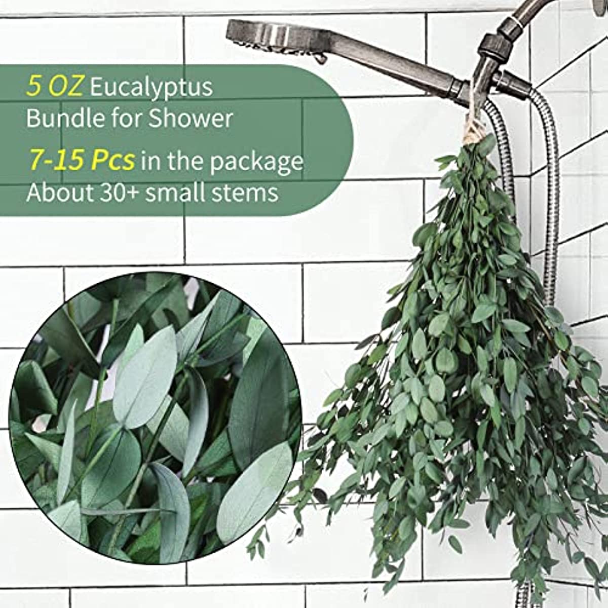 dried_flower - preserved_flower - fake_flower - 8-15Pcs Real Natural Preserved Eucalyptus Leaves Plant Bundle Shower Hanging - Molly Garden - Molly_Garden_Floral