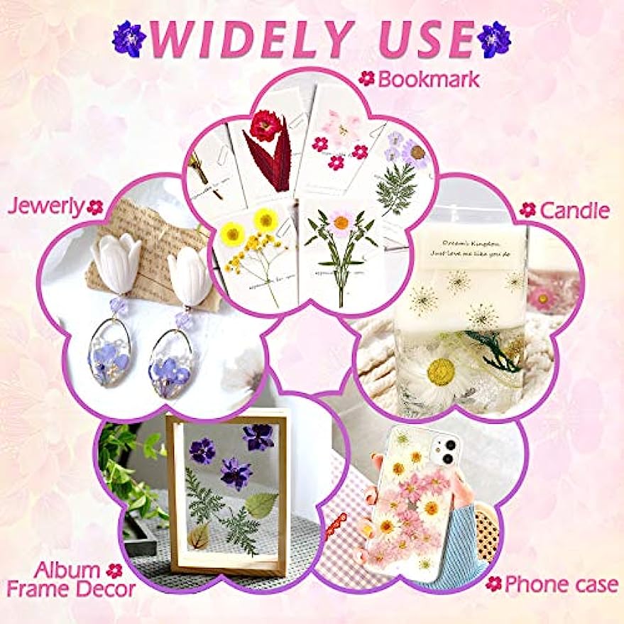 dried_flower - preserved_flower - fake_flower - 140Pcs Dried Pressed Flowers for Resin  Real Flowers Dry Leaves Bulk Natural Kit - Molly Garden - Molly_Garden_Floral