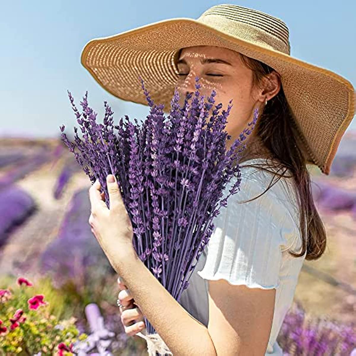 dried_flower - preserved_flower - fake_flower - 180-200Stems Dried Preserved Lavender Flowers Bundle 100% Natural 15-17" Bouquet - Molly Garden - Molly_Garden_Floral