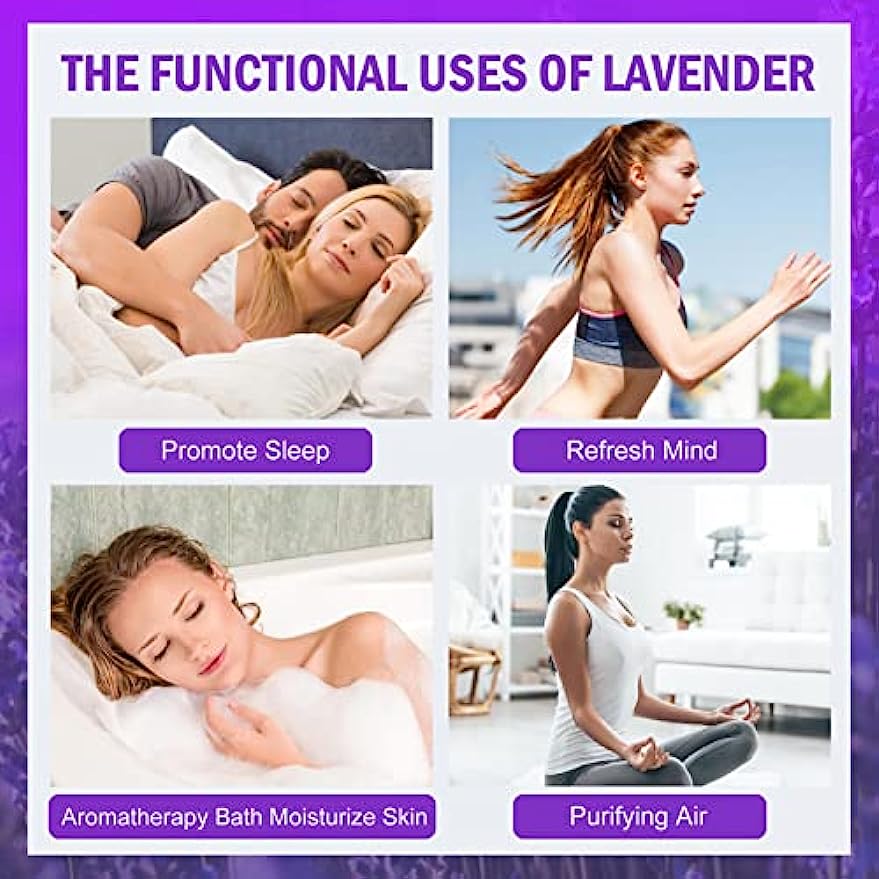 dried_flower - preserved_flower - fake_flower - 2Pack Bundles Dried Lavender Bundles Flowers 100% Natural for Home Decoration - Molly Garden - Molly_Garden_Floral